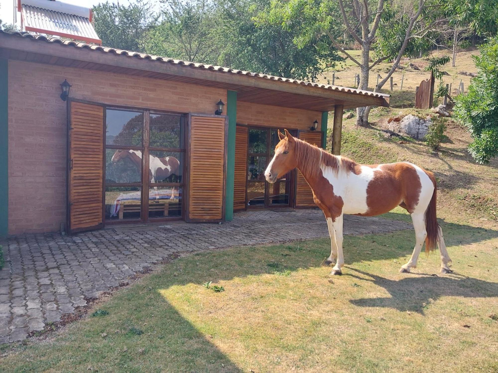 Willa Casa Na Montanha Gonçalves Zewnętrze zdjęcie